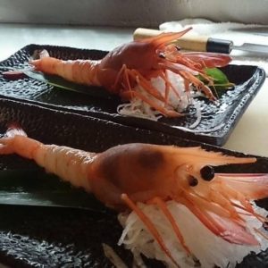 深海野生葡萄蝦